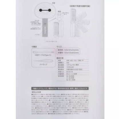 Sunshine Days Series - 2 Way Fan 風扇 Baymax